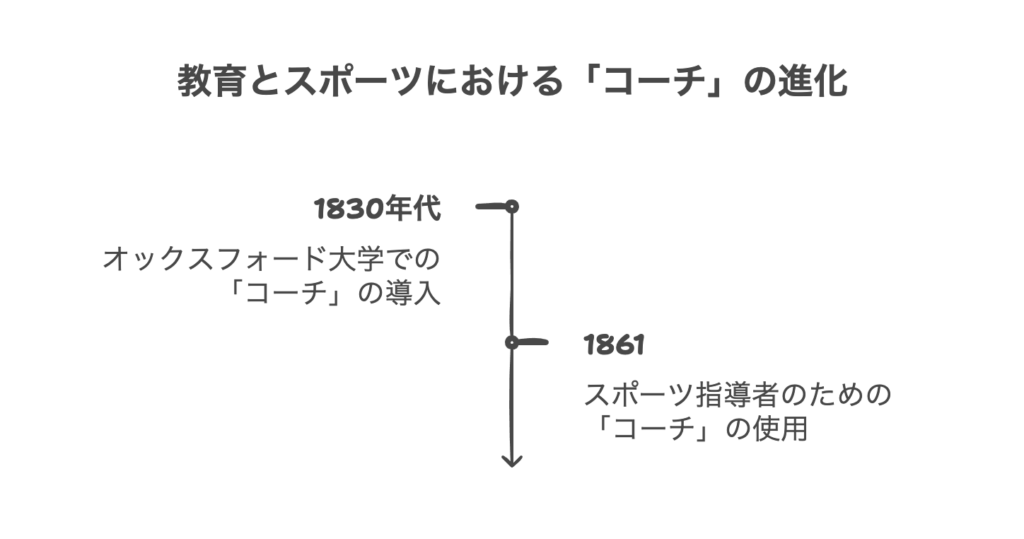 教育分野での発展と意味の確立